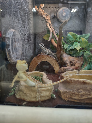 Pet Supply Store «PetSmart», reviews and photos, 1145 W Riverdale Rd, Riverdale, UT 84405, USA