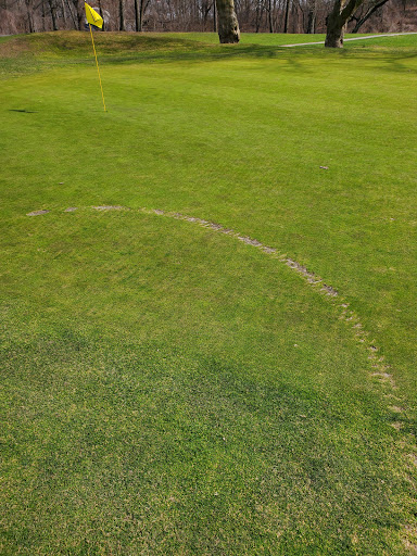Golf Course «Forest Park Golf Course», reviews and photos, 101 Forest Park Dr, Woodhaven, NY 11421, USA