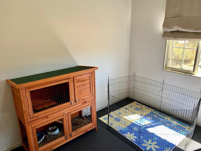 Reviews of Mary's PetVilla Cattery & Kennel in Otaki - Other