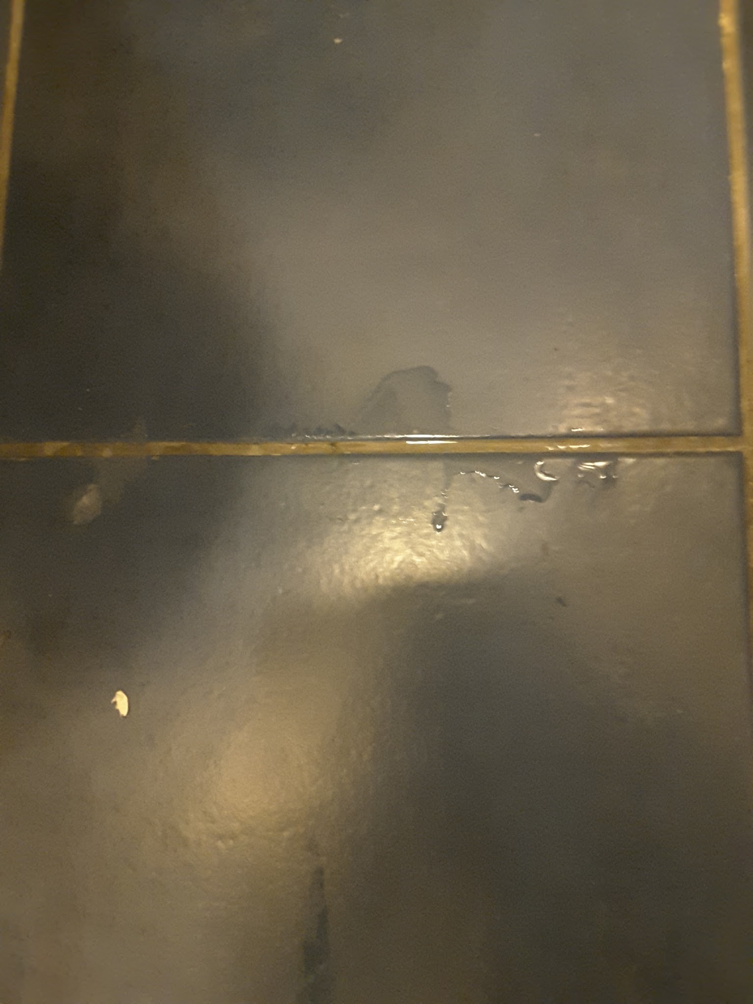 Photo n° 3 de l'avis de Robin. fait le 20/12/2016 à 17:41