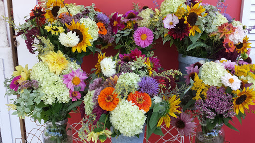 Grocery Store «Katama General Store», reviews and photos, 170 Katama Rd, Edgartown, MA 02539, USA