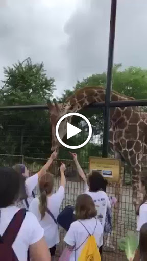 Camp «Fitwize 4 Kids Ashburn», reviews and photos, 21720 Red Rum Dr #112, Ashburn, VA 20147, USA