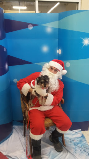 Pet Supply Store «Petco Animal Supplies», reviews and photos, 31090 Dyer St, Union City, CA 94587, USA