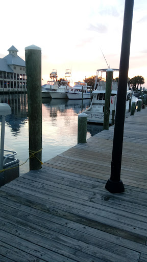 Fishing Charter «Family Tradition Boat Charters», reviews and photos, 1201 Beck Ave, Panama City, FL 32401, USA