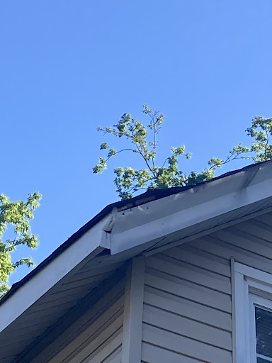 Roofing Contractor «Tidewater Roofing», reviews and photos, 701 Industry Dr, Hampton, VA 23661, USA