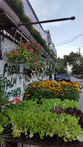 Produce Market «Hudson Farmers Market», reviews and photos, 3437 John F. Kennedy Blvd, Jersey City, NJ 07307, USA