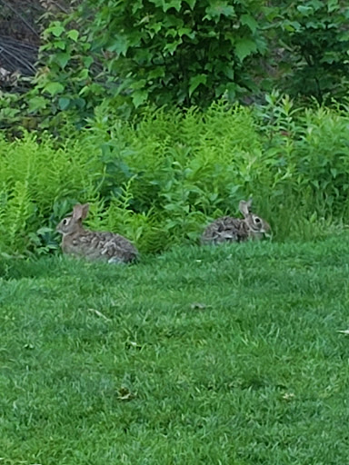 Golf Club «Overlook Golf Club», reviews and photos, 5 Overlook Dr, Hollis, NH 03049, USA