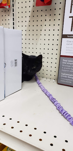 Department Store «Runnings of Brockport», reviews and photos, 4828 Lake Rd N, Brockport, NY 14420, USA