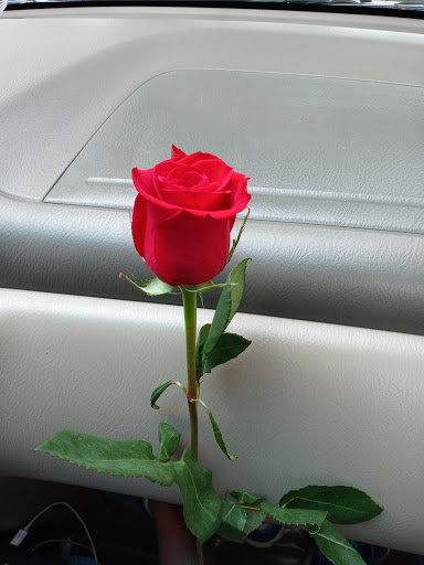 Park «Winnemac Park», reviews and photos, 5100 N Leavitt St, Chicago, IL 60625, USA