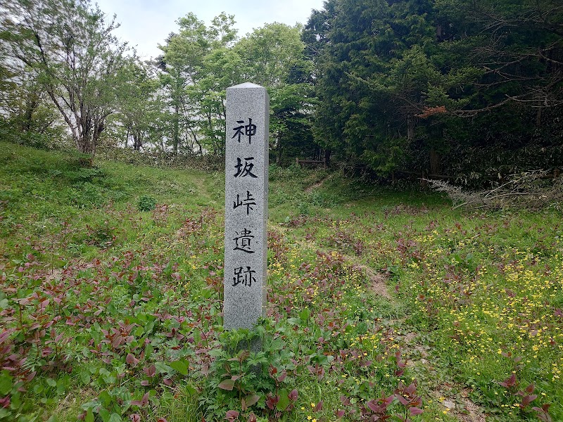 東山道 神坂峠遺跡