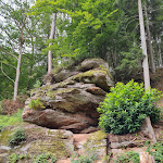 Photo n°4 de l'avis de Manuela.l fait le 18/08/2021 à 14:16 sur le  Landhotel Weihermühle à Herschberg