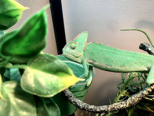 Pet Supply Store «PetSmart», reviews and photos, 450 Fairview Ave, Hudson, NY 12534, USA