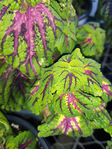 Home Improvement Store «The Home Depot», reviews and photos, 6160 W Behrend Dr, Glendale, AZ 85308, USA