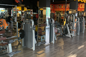 Tom's Gym Fitness Center image