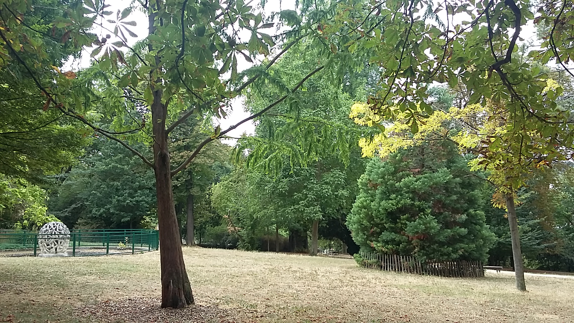 Photo n° 1 de l'avis de Tif.r fait le 20/08/2018 à 12:57