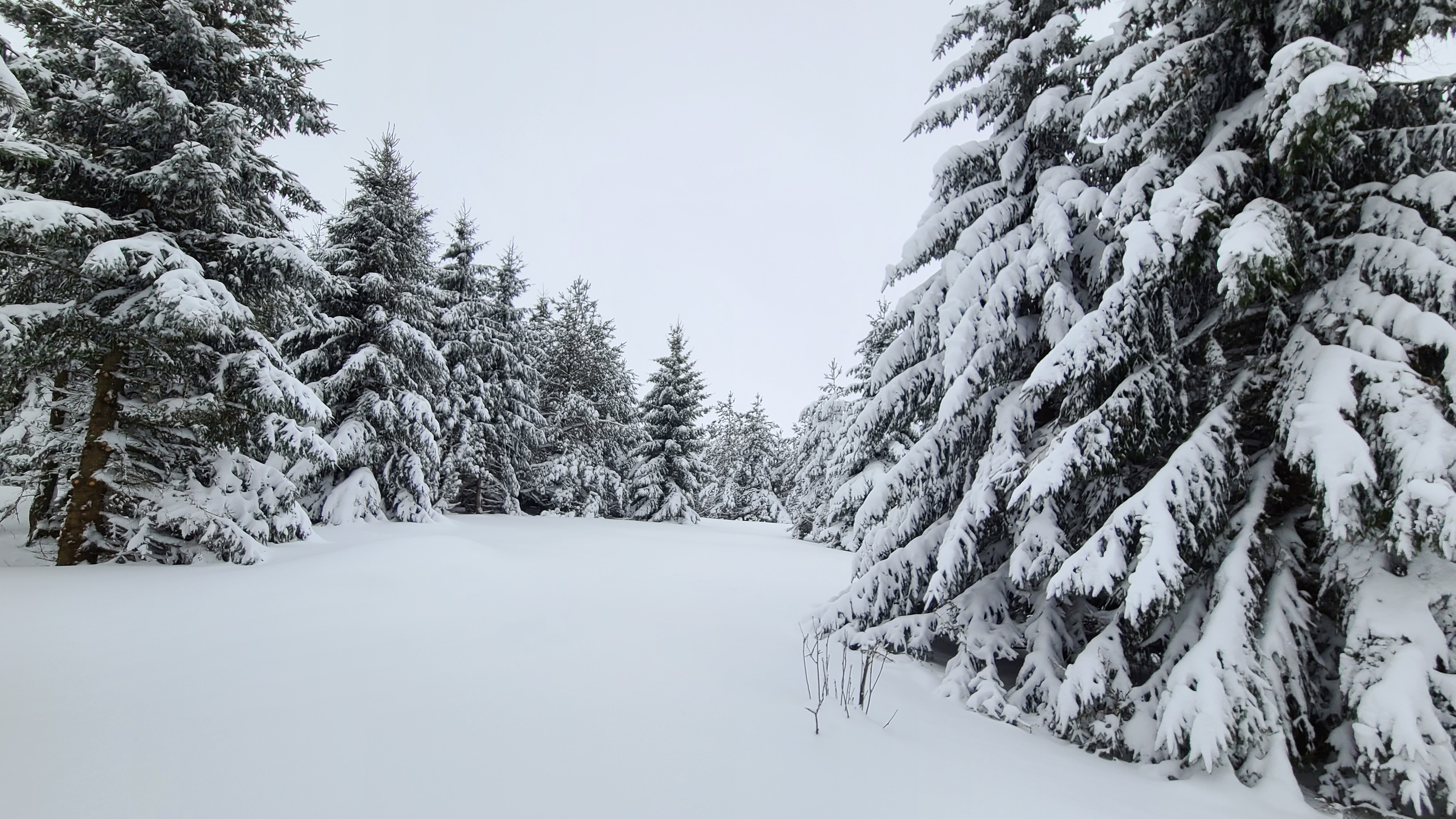 Photo n° 1 de l'avis de Fred.T fait le 20/01/2023 à 19:58