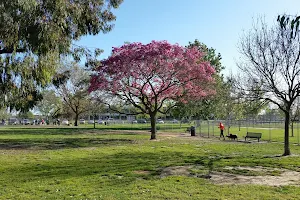 Arbor Dog Park image