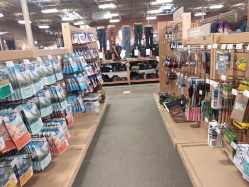 Camping Store «REI», reviews and photos, 2424 Preston Rd, Plano, TX 75093, USA
