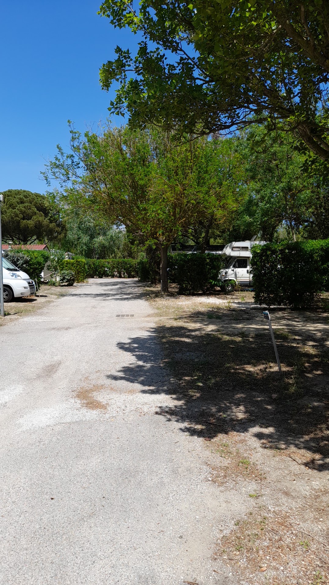 Photo n° 3 de l'avis de Pelote.E fait le 29/05/2023 à 11:47