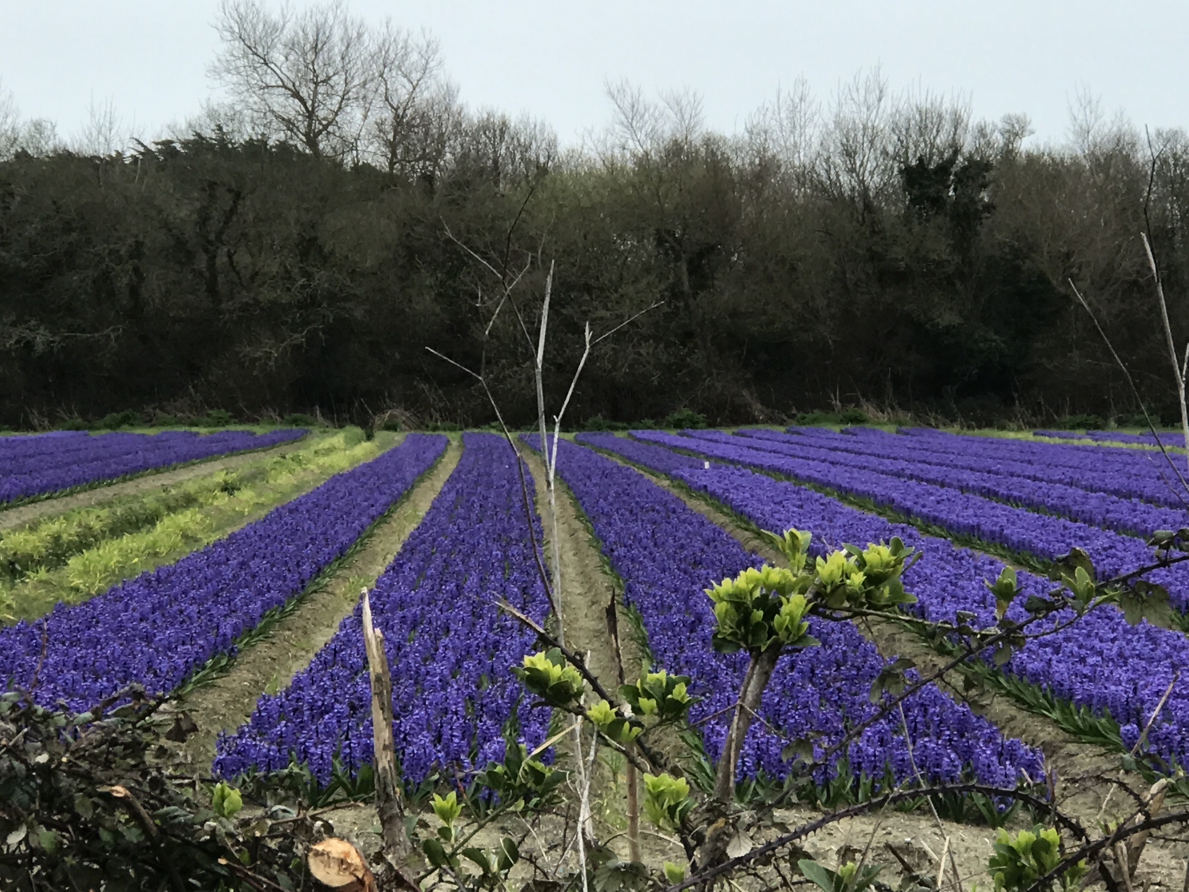 Photo n° 1 de l'avis de Jean-Marie.U fait le 11/03/2022 à 10:42