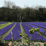 Photo n° 1 de l'avis de Jean-Marie.U fait le 11/03/2022 à 10:42 pour Kaandorp à Plomeur