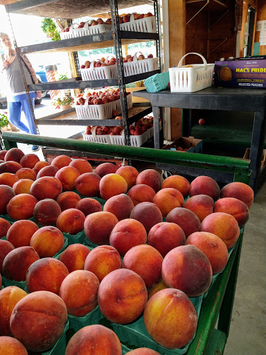 Farm «Jaemor Farms», reviews and photos, 5340 Cornelia Hwy, Alto, GA 30510, USA