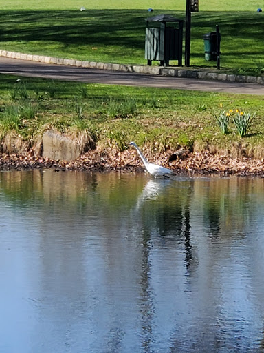 Public Golf Course «Clearview Park Golf Course», reviews and photos, 202-12 Willets Point Blvd, Queens, NY 11360, USA
