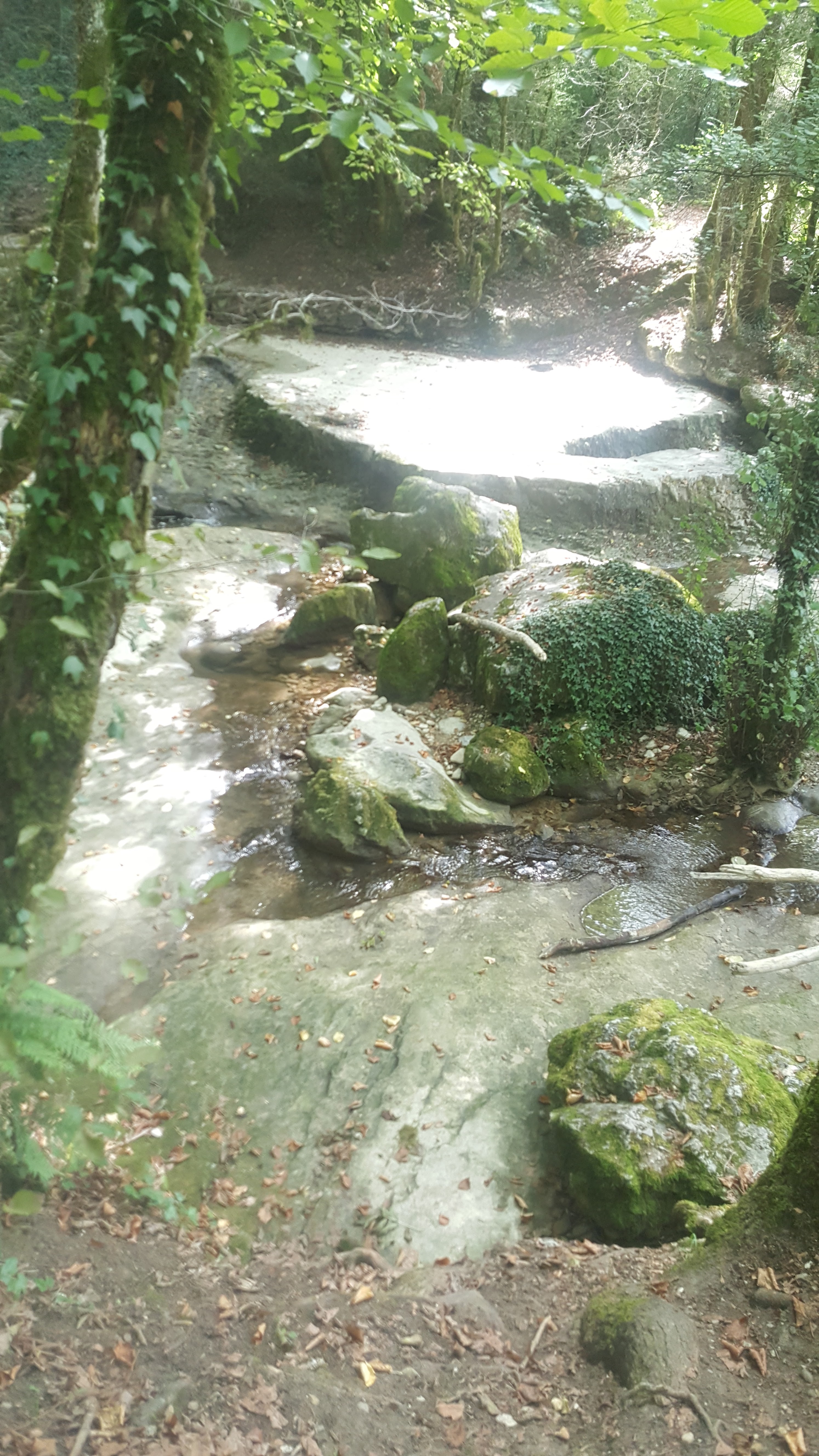 Photo n° 2 de l'avis de Vivi.o fait le 10/09/2018 à 07:44