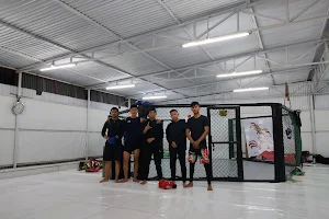 Happy Red Rooster MMA image
