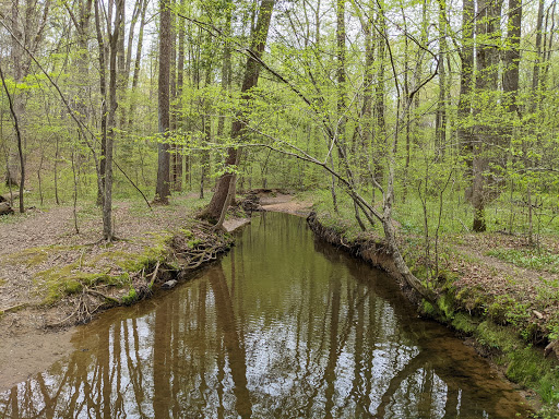 Park «Fred Crabtree Park», reviews and photos, 2801 Fox Mill Rd, Herndon, VA 20171, USA