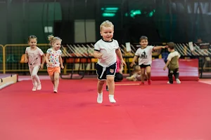 Baby Gym Gymnastics network image