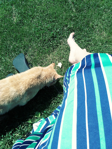 Winery «Strawbale Winery», reviews and photos, 47215 257th St, Renner, SD 57055, USA