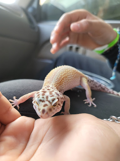 Pet Supply Store «Pet Bazaar», reviews and photos, 490 FL-436, Casselberry, FL 32707, USA