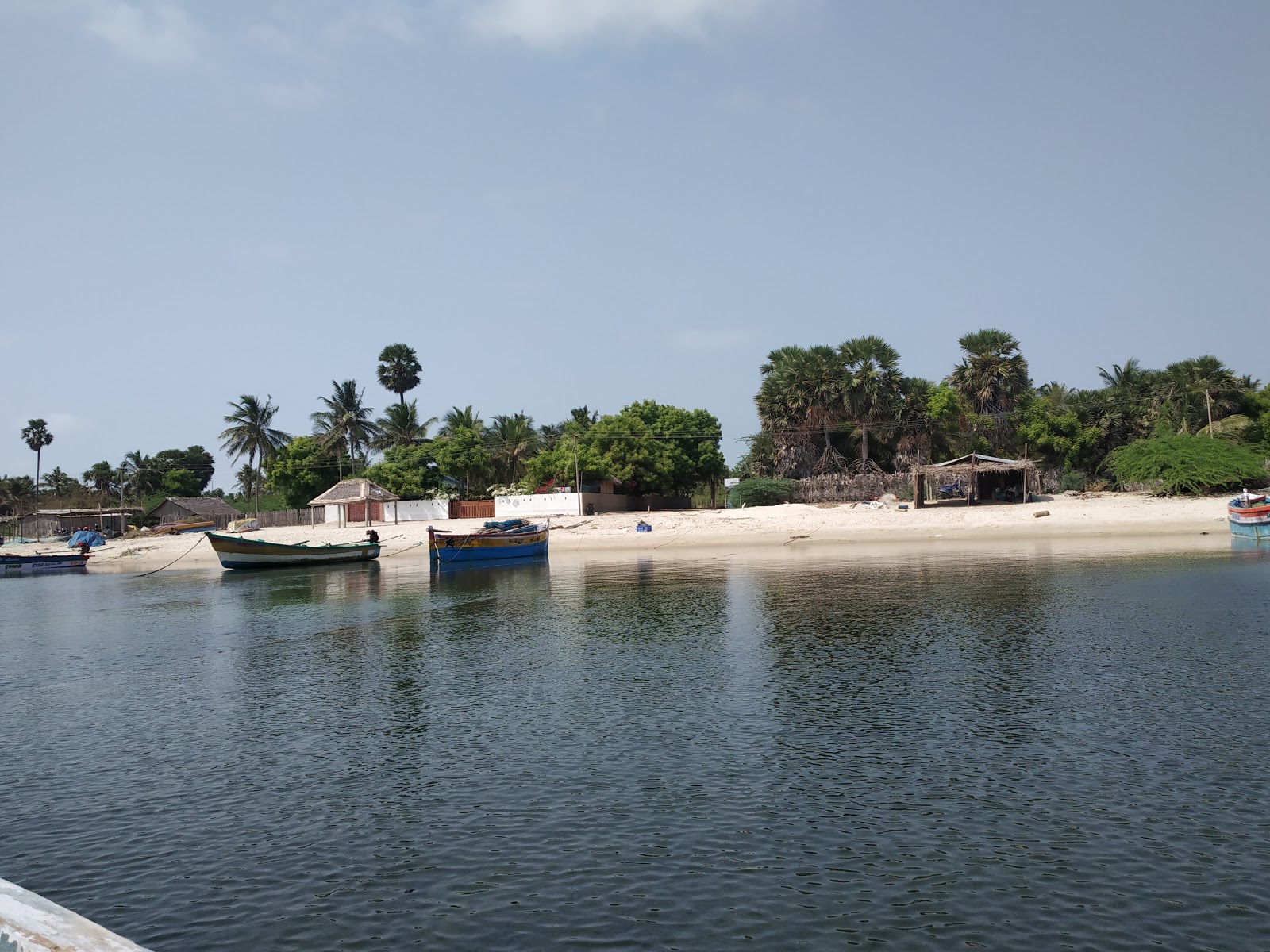 Bluewaters Paradise Mandapam Beach的照片 带有长直海岸