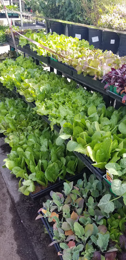 Hardware Store «Santa Barbara Home Improvement Center», reviews and photos, 415 E Gutierrez St, Santa Barbara, CA 93101, USA