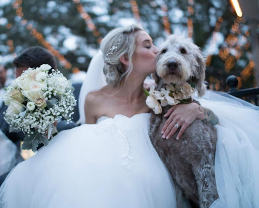 Florist «Flower Works», reviews and photos, 510 N Ponce De Leon Blvd, St Augustine, FL 32084, USA