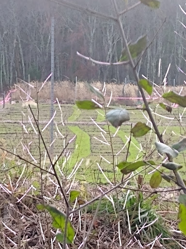 Ski Resort «Nashoba Valley Ski Area», reviews and photos, 79 Powers Rd, Westford, MA 01886, USA