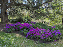 EZ Landscape Services - Photo 9 - Car repair in Camarillo, CA, Oxnard