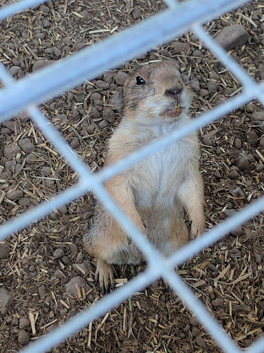 Zoo «Special Memories Zoo», reviews and photos, W7013 Spring Rd, Greenville, WI 54942, USA