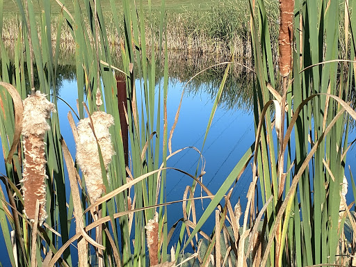 Lodge «The Lodge at Liberty Forge», reviews and photos, 3804 Lisburn Rd, Mechanicsburg, PA 17055, USA