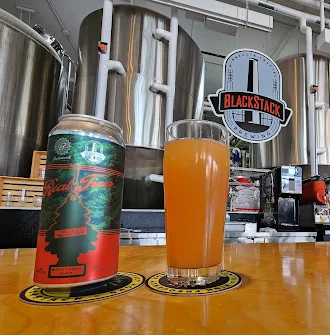 Craft beer at a brewery in St Paul Minnesota