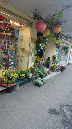 Blumeeck Meyer mit Der Zoobedarf unter Adelsheim, 