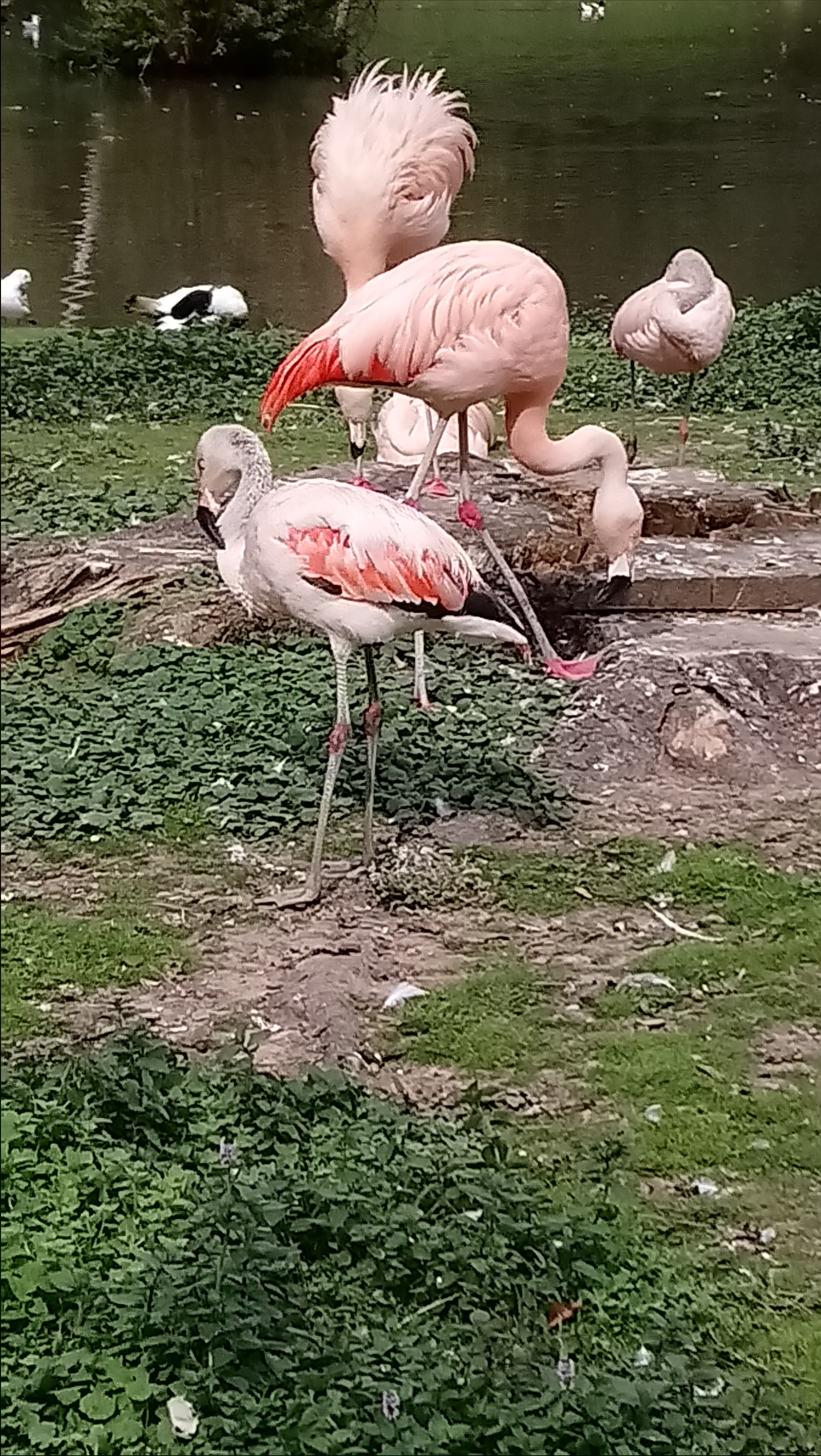 Photo n° 3 de l'avis de Stephanie.r fait le 21/10/2018 à 05:17