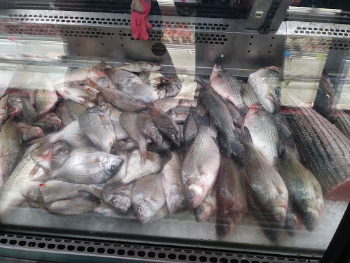 Asian Grocery Store «V-Mart international market», reviews and photos, 176 Narragansett Ave, Providence, RI 02907, USA