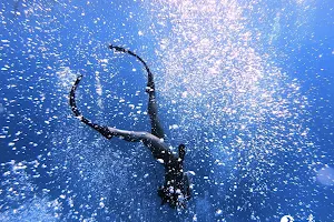 台中意潛自由潛水 freediving image