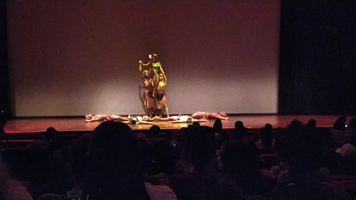 Vuyani Dance Theatre