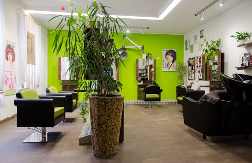 Salon Haarvision - Carina Scheuringer In Engelhartszell an der Donau