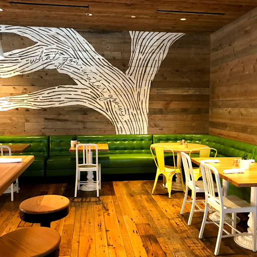 Shopping Mall «Lenox Square», reviews and photos, 3393 Peachtree Rd NE, Atlanta, GA 30326, USA