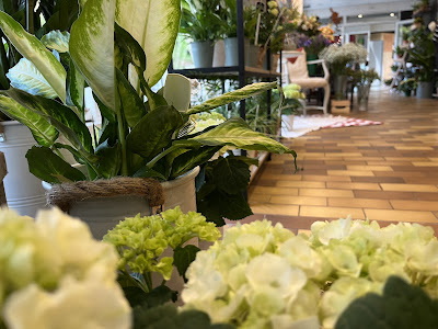 L'atelier Ginkgo à Vert-le-Petit