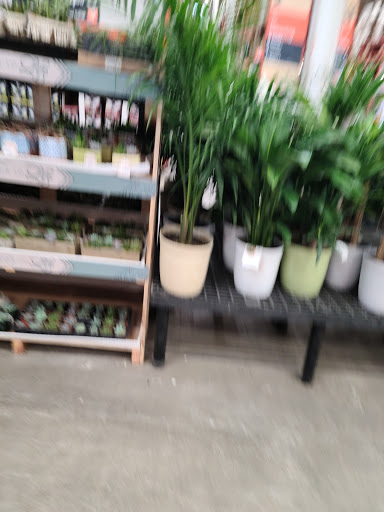 Home Improvement Store «The Home Depot», reviews and photos, 530 Mt Pleasant Ave, Dover, NJ 07801, USA